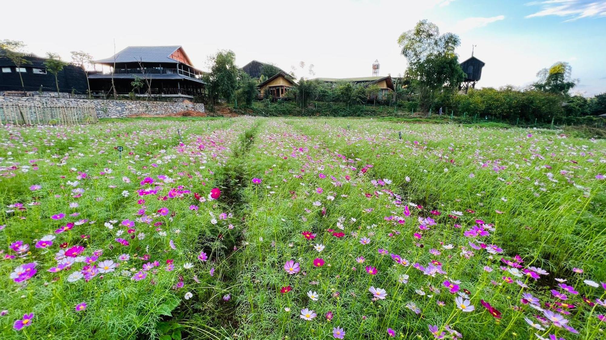 Satoyama Village Luong Son  Экстерьер фото
